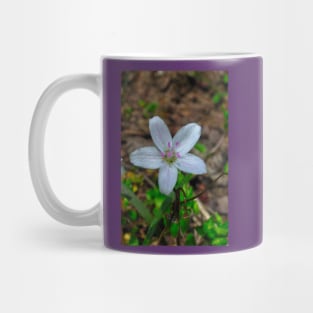 Woodland Wildflower Mug